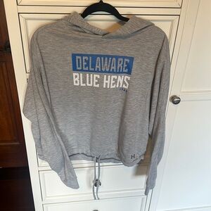 University of Delaware Blue Hens Hoodie